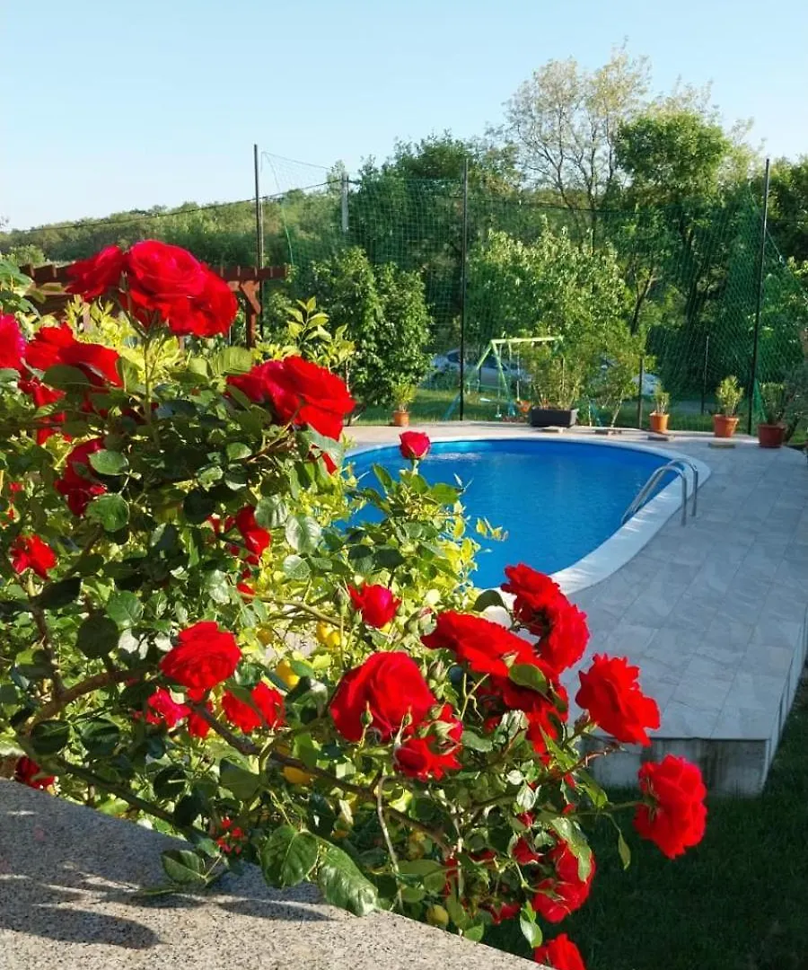 Villa Bistre Radovin Croatia